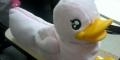 ~DucKDAE V-3~
